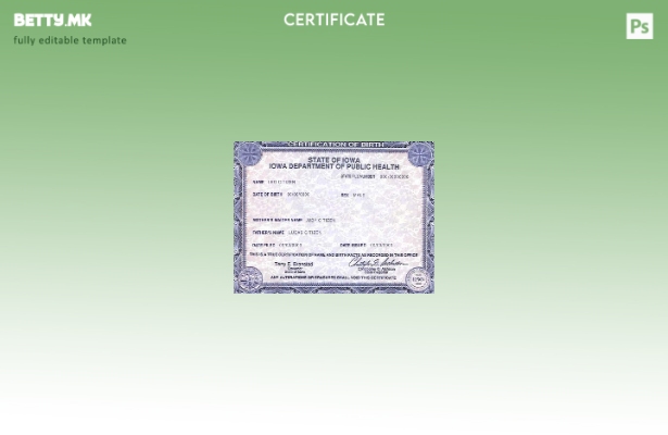 Модерен стил, шаблон за извод од матична книга на родените на државата Ајова во 